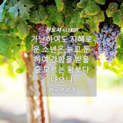 Picture 04 - 전도서 4:13 KOR - 가난하여도 지혜로운 소년은 늙고 - Bible Verse Picture