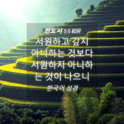 Picture 04 - 전도서 5:5 KOR - 서원하고 갚지 아니하는 것보다 - Bible Verse Picture