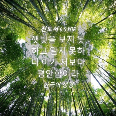 Picture 04 - 전도서 6:5 KOR - 햇빛을 보지 못하고 알지 못하나 - Bible Verse Picture