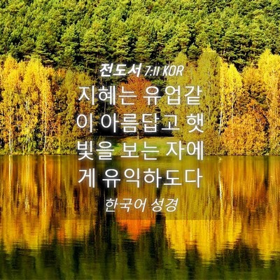 Picture 04 - 전도서 7:11 KOR - 지혜는 유업같이 아름답고 햇빛을 - Bible Verse Picture