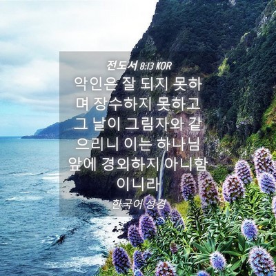 Picture 04 - 전도서 8:13 KOR - 악인은 잘 되지 못하며 장수하지 - Bible Verse Picture