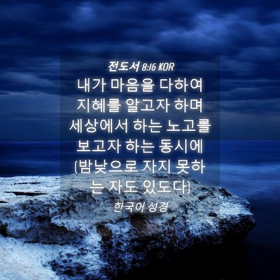 Picture 04 - 전도서 8:16 KOR - 내가 마음을 다하여 지혜를 알고자 - Bible Verse Picture