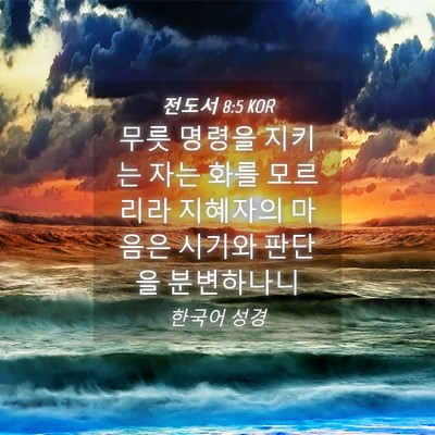 Picture 04 - 전도서 8:5 KOR - 무릇 명령을 지키는 자는 화를 - Bible Verse Picture