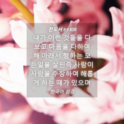 Picture 04 - 전도서 8:9 KOR - 내가 이런 것들을 다 보고 마음을 - Bible Verse Picture