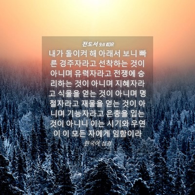 Picture 04 - 전도서 9:11 KOR - 내가 돌이켜 해 아래서 보니 빠른 - Bible Verse Picture