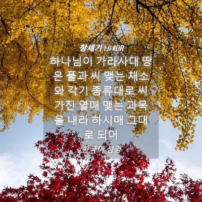 Picture 04 - 창세기 1:11 KOR - 하나님이 가라사대 땅은 풀과 씨 - Bible Verse Picture