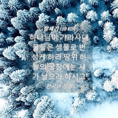 Picture 04 - 창세기 1:20 KOR - 하나님이 가라사대 물들은 생물로 - Bible Verse Picture