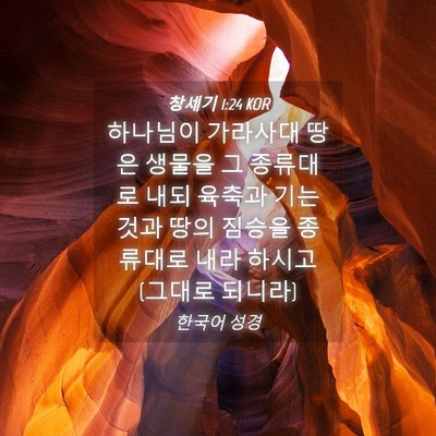 Picture 04 - 창세기 1:24 KOR - 하나님이 가라사대 땅은 생물을 그 - Bible Verse Picture
