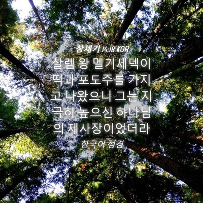 Picture 04 - 창세기 14:18 KOR - 살렘 왕 멜기세덱이 떡과 포도주를 - Bible Verse Picture