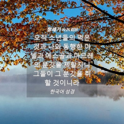 Picture 04 - 창세기 14:24 KOR - 오직 소년들의 먹은 것과 나와 - Bible Verse Picture