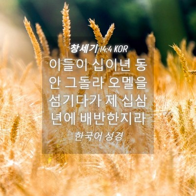 Picture 04 - 창세기 14:4 KOR - 이들이 십이년 동안 그돌라 오멜을 - Bible Verse Picture