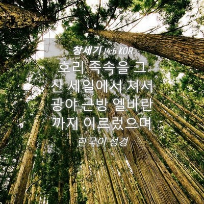 Picture 04 - 창세기 14:6 KOR - 호리 족속을 그 산 세일에서 쳐서 - Bible Verse Picture