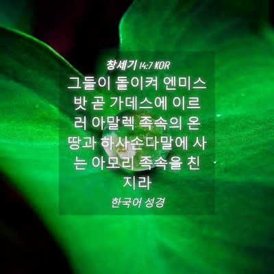 Picture 04 - 창세기 14:7 KOR - 그들이 돌이켜 엔미스밧 곧 가데스에 - Bible Verse Picture