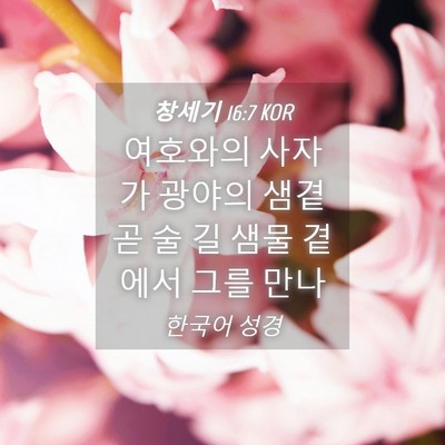 Picture 04 - 창세기 16:7 KOR - 여호와의 사자가 광야의 샘곁 곧 술 - Bible Verse Picture
