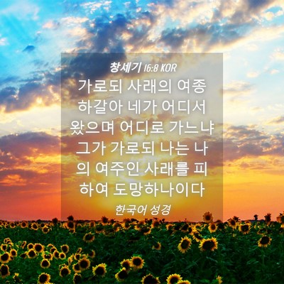 Picture 04 - 창세기 16:8 KOR - 가로되 사래의 여종 하갈아 네가 - Bible Verse Picture
