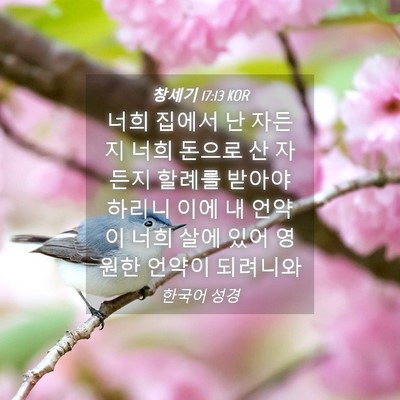 Picture 04 - 창세기 17:13 KOR - 너희 집에서 난 자든지 너희 돈으로 - Bible Verse Picture