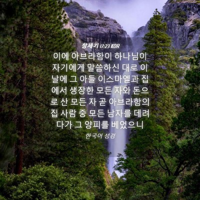 Picture 04 - 창세기 17:23 KOR - 이에 아브라함이 하나님이 자기에게 - Bible Verse Picture