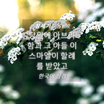 Picture 04 - 창세기 17:26 KOR - 당일에 아브라함과 그 아들 - Bible Verse Picture