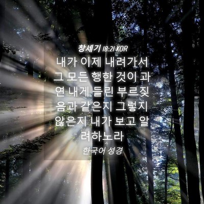 Picture 04 - 창세기 18:21 KOR - 내가 이제 내려가서 그 모든 행한 - Bible Verse Picture