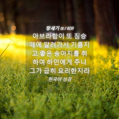 Picture 04 - 창세기 18:7 KOR - 아브라함이 또 짐승 떼에 달려가서 - Bible Verse Picture