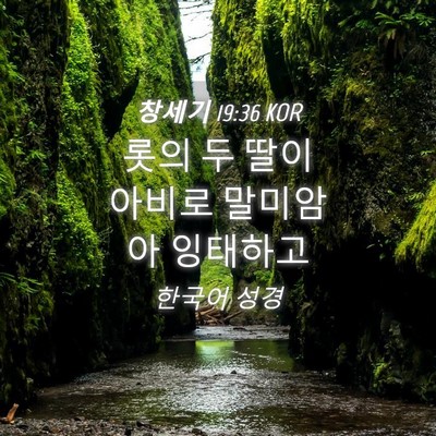 Picture 04 - 창세기 19:36 KOR - 롯의 두 딸이 아비로 말미암아 - Bible Verse Picture