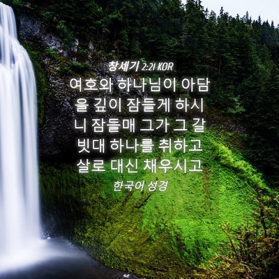 Picture 04 - 창세기 2:21 KOR - 여호와 하나님이 아담을 깊이 잠들게 - Bible Verse Picture