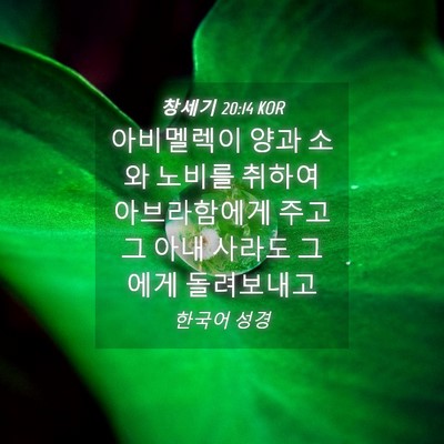 Picture 04 - 창세기 20:14 KOR - 아비멜렉이 양과 소와 노비를 취하여 - Bible Verse Picture