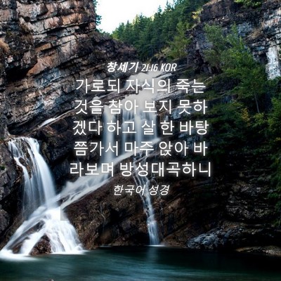 Picture 04 - 창세기 21:16 KOR - 가로되 자식의 죽는 것을 참아 보지 - Bible Verse Picture