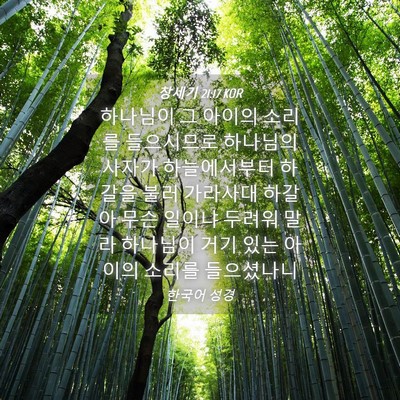 Picture 04 - 창세기 21:17 KOR - 하나님이 그 아이의 소리를 - Bible Verse Picture