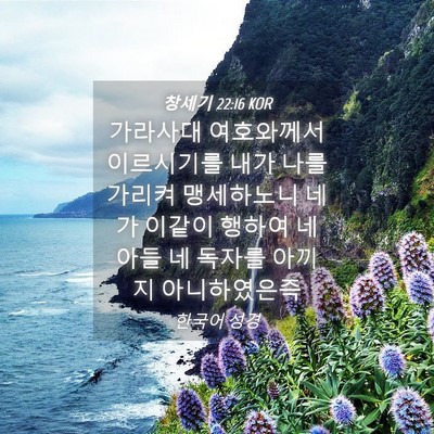 Picture 04 - 창세기 22:16 KOR - 가라사대 여호와께서 이르시기를 - Bible Verse Picture