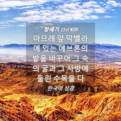 Picture 04 - 창세기 23:17 KOR - 마므레 앞 막벨라에 있는 에브론의 - Bible Verse Picture