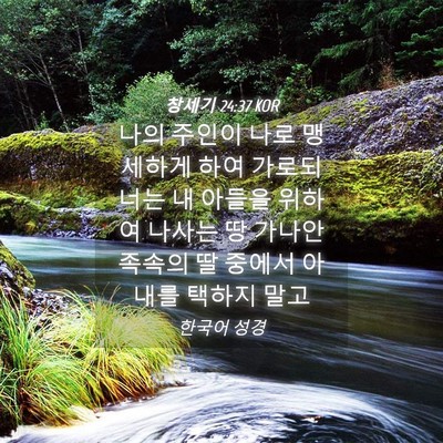 Picture 04 - 창세기 24:37 KOR - 나의 주인이 나로 맹세하게 하여 - Bible Verse Picture