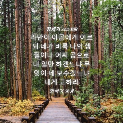 Picture 04 - 창세기 29:15 KOR - 라반이 야곱에게 이르되 네가 비록 - Bible Verse Picture