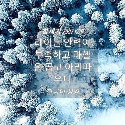 Picture 04 - 창세기 29:17 KOR - 레아는 안력이 부족하고 라헬은 곱고 - Bible Verse Picture
