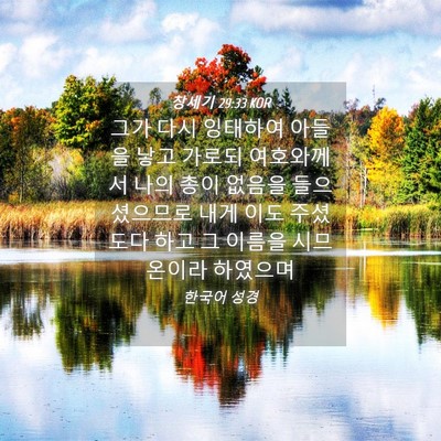 Picture 04 - 창세기 29:33 KOR - 그가 다시 잉태하여 아들을 낳고 - Bible Verse Picture