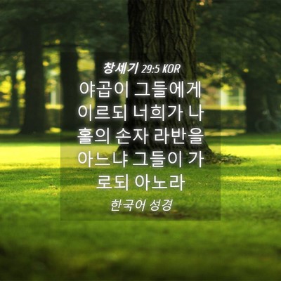 Picture 04 - 창세기 29:5 KOR - 야곱이 그들에게 이르되 너희가 - Bible Verse Picture