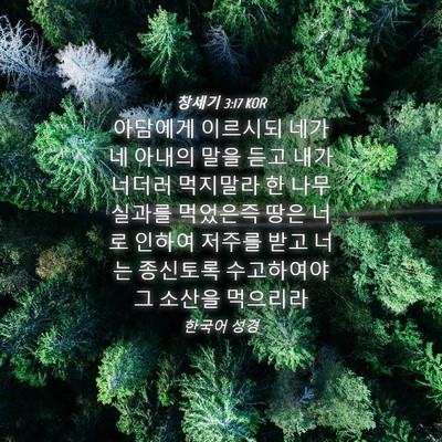 Picture 04 - 창세기 3:17 KOR - 아담에게 이르시되 네가 네 아내의 - Bible Verse Picture