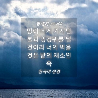 Picture 04 - 창세기 3:18 KOR - 땅이 네게 가시덤불과 엉겅퀴를 낼 - Bible Verse Picture