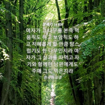 Picture 04 - 창세기 3:6 KOR - 여자가 그 나무를 본즉 먹음직도 - Bible Verse Picture
