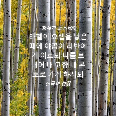 Picture 04 - 창세기 30:25 KOR - 라헬이 요셉을 낳은 때에 야곱이 - Bible Verse Picture