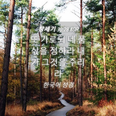Picture 04 - 창세기 30:28 KOR - 또 가로되 네 품삯을 정하라 내가 - Bible Verse Picture