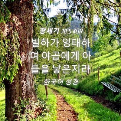 Picture 04 - 창세기 30:5 KOR - 빌하가 잉태하여 야곱에게 아들을 - Bible Verse Picture