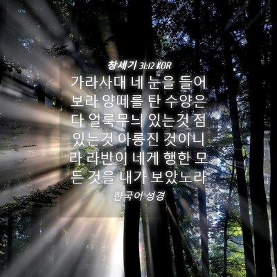 Picture 04 - 창세기 31:12 KOR - 가라사대 네 눈을 들어 보라 양떼를 - Bible Verse Picture