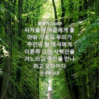 Picture 04 - 창세기 32:6 KOR - 사자들이 야곱에게 돌아와 가로되 - Bible Verse Picture