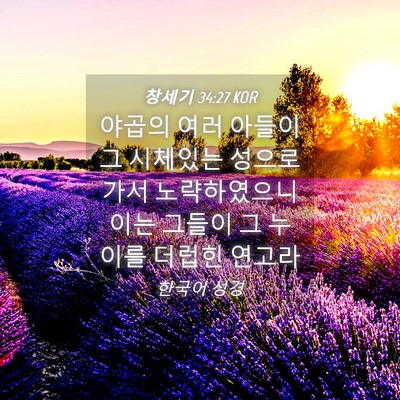 Picture 04 - 창세기 34:27 KOR - 야곱의 여러 아들이 그 시체있는 - Bible Verse Picture