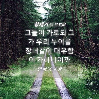 Picture 04 - 창세기 34:31 KOR - 그들이 가로되 그가 우리 누이를 - Bible Verse Picture