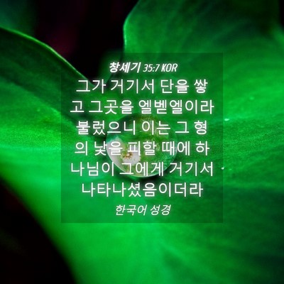 Picture 04 - 창세기 35:7 KOR - 그가 거기서 단을 쌓고 그곳을 - Bible Verse Picture