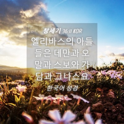 Picture 04 - 창세기 36:11 KOR - 엘리바스의 아들들은 데만과 오말과 - Bible Verse Picture
