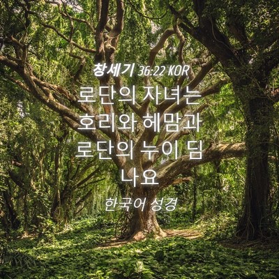 Picture 04 - 창세기 36:22 KOR - 로단의 자녀는 호리와 헤맘과 로단의 - Bible Verse Picture