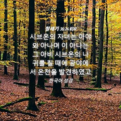 Picture 04 - 창세기 36:24 KOR - 시브온의 자녀는 아야와 아나며 이 - Bible Verse Picture